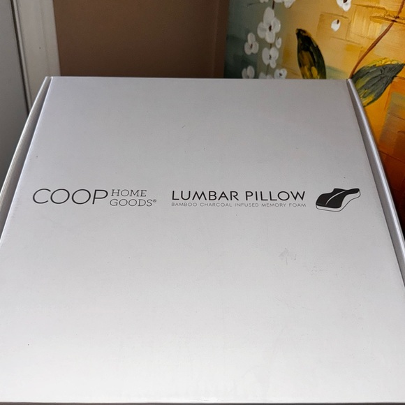 Coop home goods Lumbar seat pillow - Picture 2 of 6